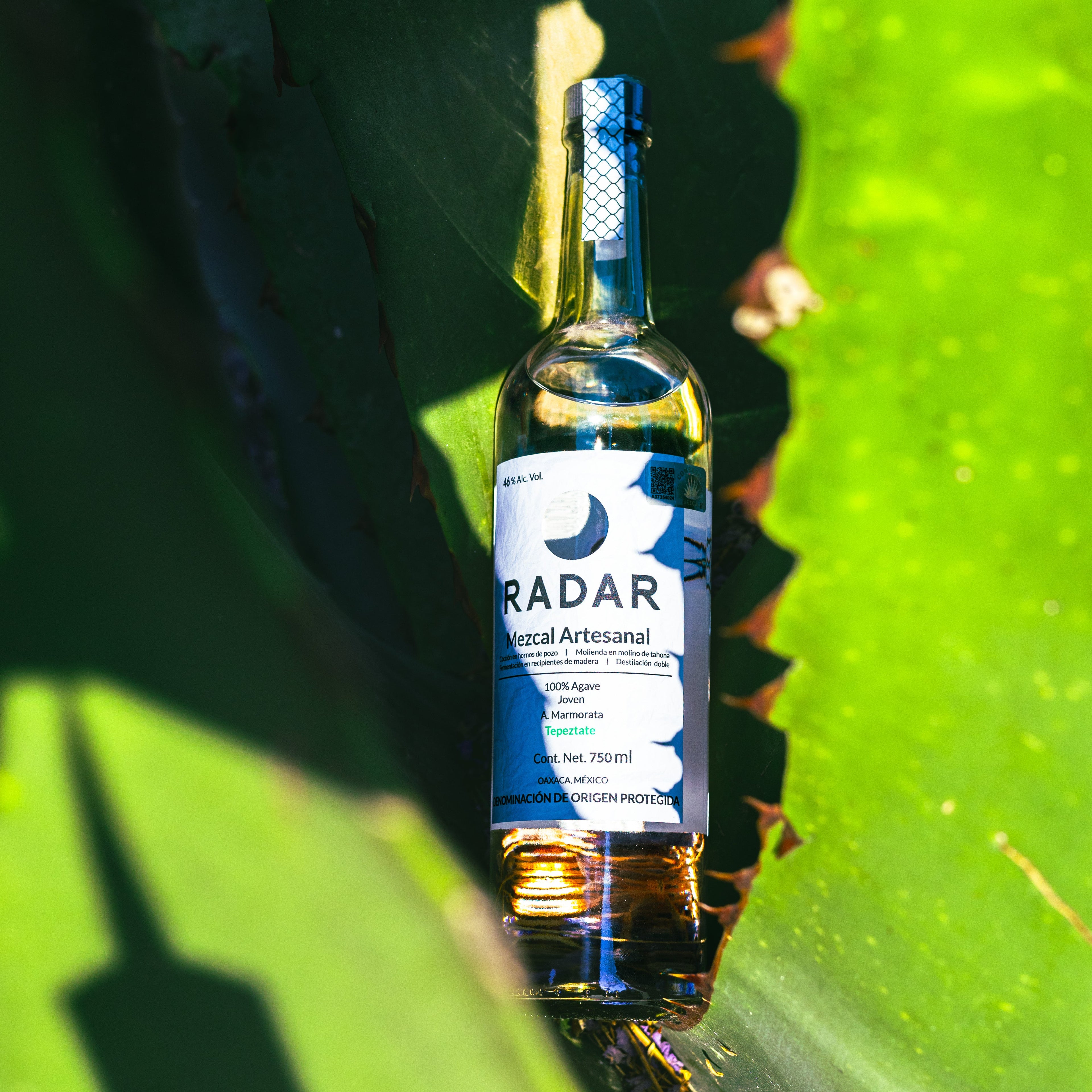 Mezcal Radar Tepeztate
