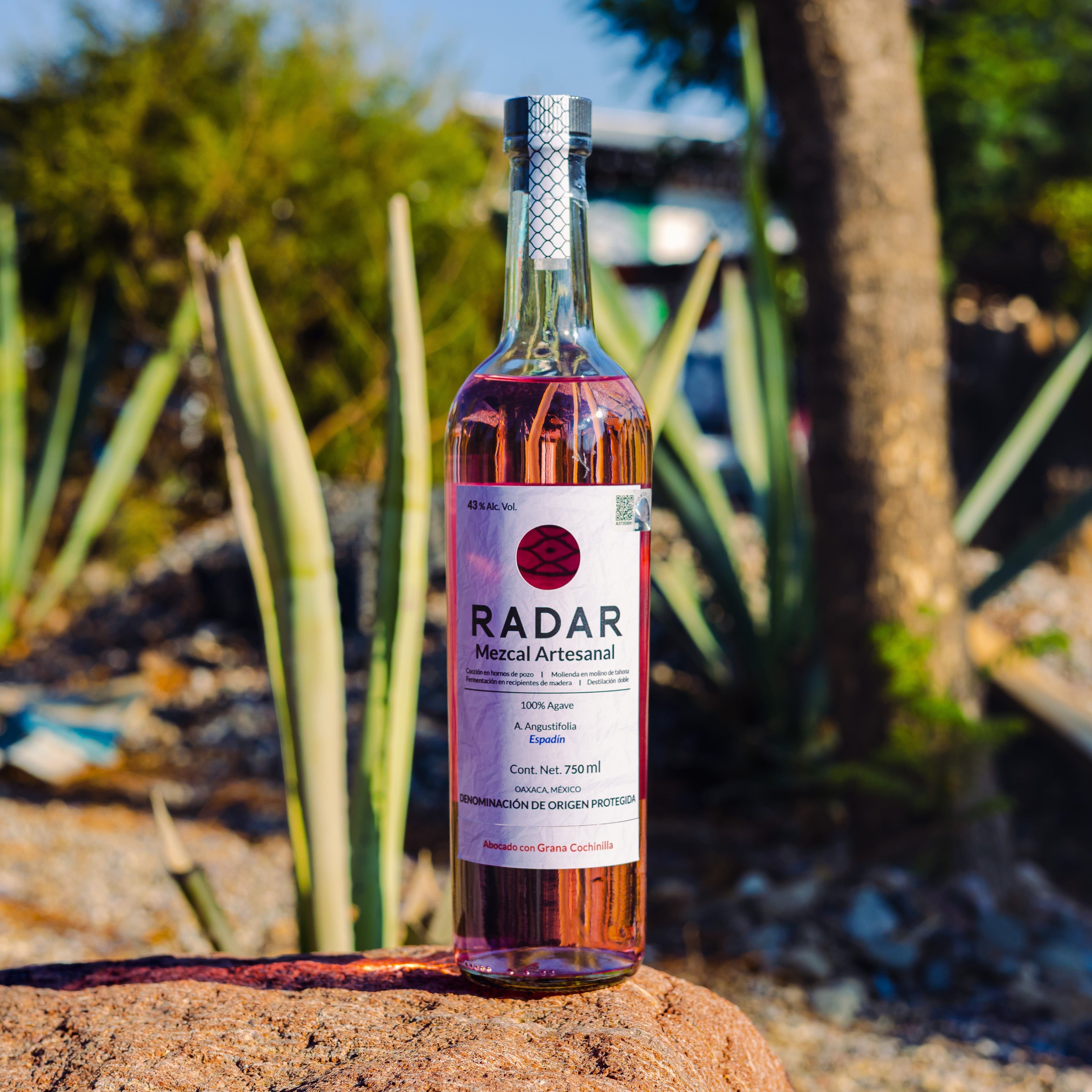 Mezcal Radar Grana Cochinilla